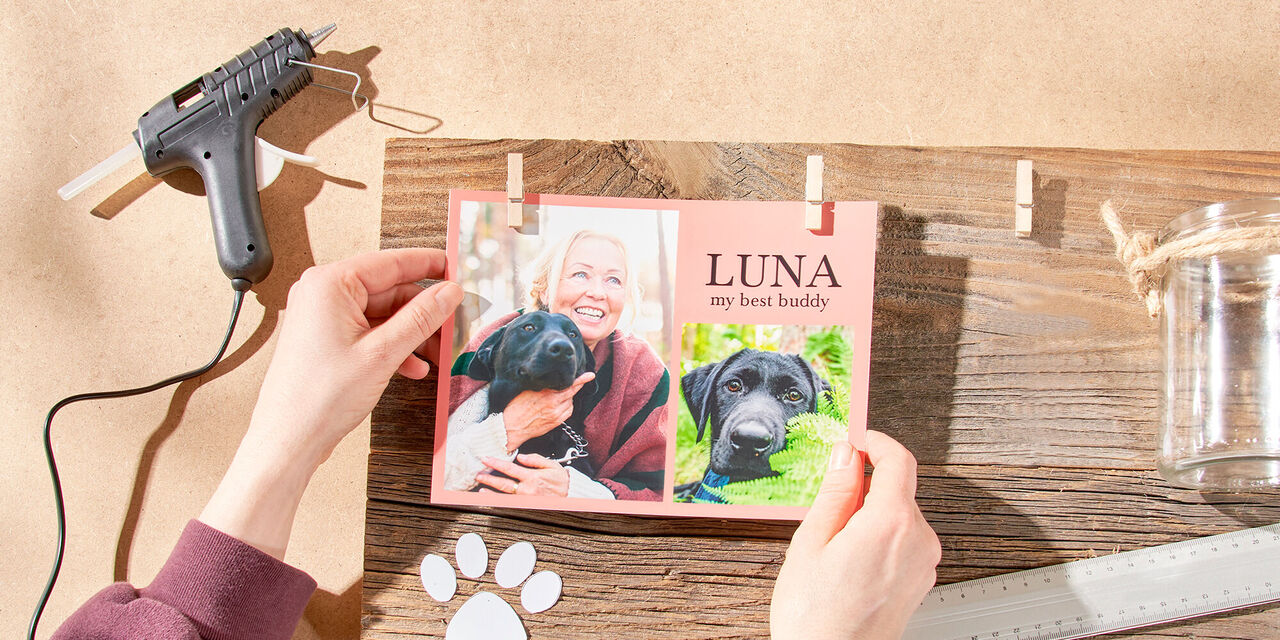 Dvě ruce upevňují foto ihned pomocí kolíčků na prádlo, na fotkách je vidět majitelka se svým psem jménem "Luna".